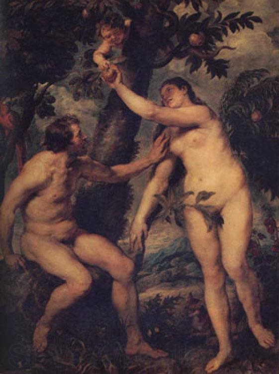Peter Paul Rubens The Fall of Man (mk01) France oil painting art